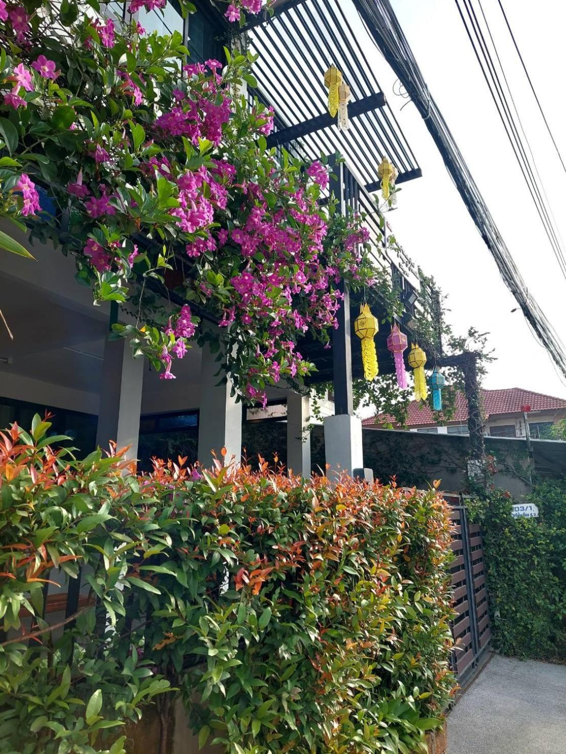 Ld8 House Private Pool Perfect Groups -Families Chiangmai Villa Chiang Mai Eksteriør billede